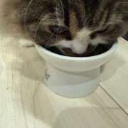 ヒメ日記 2025/05/31 03:24 投稿 東京マリン（ダ） Yシャツと私