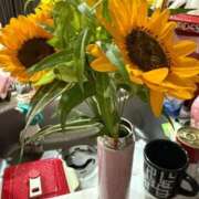 ヒメ日記 2025/07/06 02:18 投稿 東京マリン（ダ） Yシャツと私