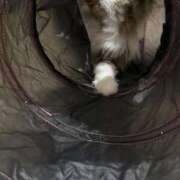 ヒメ日記 2025/07/10 11:43 投稿 東京マリン（ダ） Yシャツと私