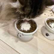 ヒメ日記 2025/07/12 01:39 投稿 東京マリン（ダ） Yシャツと私