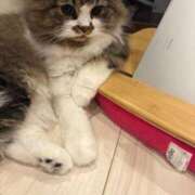 ヒメ日記 2025/07/31 22:55 投稿 東京マリン（ダ） Yシャツと私