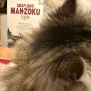 ヒメ日記 2025/08/03 02:58 投稿 東京マリン（ダ） Yシャツと私