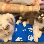 ヒメ日記 2025/08/09 16:22 投稿 東京マリン（ダ） Yシャツと私