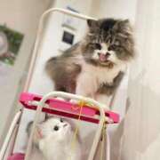 ヒメ日記 2025/08/20 11:57 投稿 東京マリン（ダ） Yシャツと私