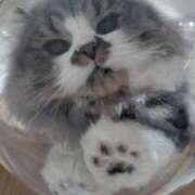 ヒメ日記 2025/08/25 11:24 投稿 東京マリン（ダ） Yシャツと私