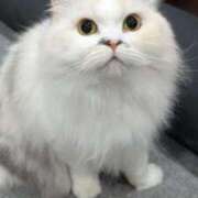 ヒメ日記 2025/08/25 20:52 投稿 東京マリン（ダ） Yシャツと私