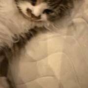 ヒメ日記 2025/08/30 10:13 投稿 東京マリン（ダ） Yシャツと私