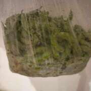 ヒメ日記 2025/08/31 12:26 投稿 東京マリン（ダ） Yシャツと私