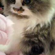 ヒメ日記 2025/09/05 14:10 投稿 東京マリン（ダ） Yシャツと私