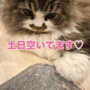 ヒメ日記 2025/09/05 18:44 投稿 東京マリン（ダ） Yシャツと私