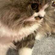 ヒメ日記 2025/09/07 17:33 投稿 東京マリン（ダ） Yシャツと私