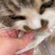 ヒメ日記 2025/09/30 08:44 投稿 東京マリン（ダ） Yシャツと私