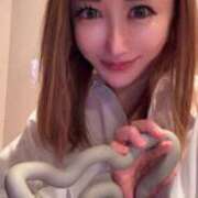 ヒメ日記 2025/12/08 02:29 投稿 東京マリン（ダ） Yシャツと私