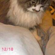 ヒメ日記 2025/12/16 12:12 投稿 東京マリン（ダ） Yシャツと私