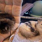 東京マリン（ダ） 寝てます Yシャツと私