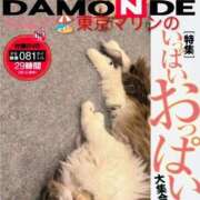 ヒメ日記 2026/02/05 03:17 投稿 東京マリン（ダ） Yシャツと私