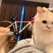 ヒメ日記 2026/02/08 07:52 投稿 東京マリン（ダ） Yシャツと私