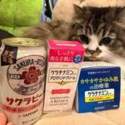 ヒメ日記 2026/02/12 11:51 投稿 東京マリン（ダ） Yシャツと私