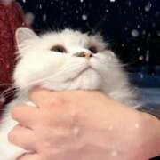 ヒメ日記 2026/02/13 09:07 投稿 東京マリン（ダ） Yシャツと私