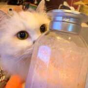 ヒメ日記 2026/03/18 11:25 投稿 東京マリン（ダ） Yシャツと私