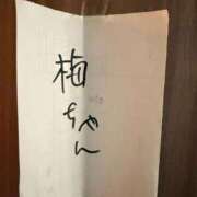 ヒメ日記 2026/05/21 14:46 投稿 東京マリン（ダ） Yシャツと私
