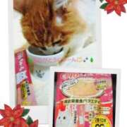 ヒメ日記 2024/12/26 01:29 投稿 瑞穂（ダーリング） Yシャツと私