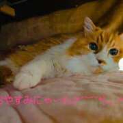 ヒメ日記 2025/02/23 00:59 投稿 瑞穂（ダーリング） Yシャツと私