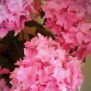 ヒメ日記 2025/06/10 23:30 投稿 瑞穂（ダーリング） Yシャツと私