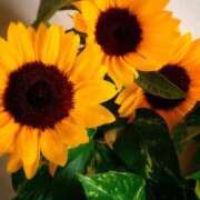 ヒメ日記 2025/07/18 12:29 投稿 瑞穂（ダーリング） Yシャツと私