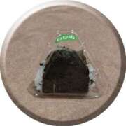 ヒメ日記 2025/11/11 15:39 投稿 瑞穂（ダーリング） Yシャツと私