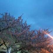 ヒメ日記 2026/04/08 21:22 投稿 瑞穂（ダーリング） Yシャツと私