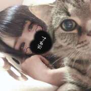 ヒメ日記 2025/02/23 12:54 投稿 きずな 金瓶梅(きんぺいぱい)(雄琴)