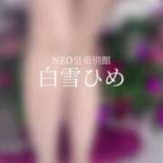 ヒメ日記 2024/12/17 10:57 投稿 白雪ひめエグゼクティブ -NEO-皇帝別館（中央街）
