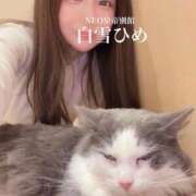 ヒメ日記 2024/12/20 20:07 投稿 白雪ひめエグゼクティブ -NEO-皇帝別館（中央街）