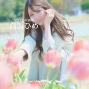 ヒメ日記 2025/06/20 10:37 投稿 白雪ひめエグゼクティブ -NEO-皇帝別館（中央街）