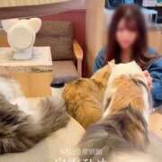 ヒメ日記 2025/08/10 09:48 投稿 白雪ひめエグゼクティブ -NEO-皇帝別館（中央街）