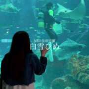 ヒメ日記 2025/08/19 15:43 投稿 白雪ひめエグゼクティブ -NEO-皇帝別館（中央街）