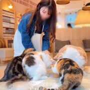 ヒメ日記 2025/11/22 10:50 投稿 白雪ひめエグゼクティブ -NEO-皇帝別館（中央街）