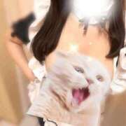 ヒメ日記 2025/01/02 21:23 投稿 まどか 手コキガールズコレクション