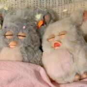 ヒメ日記 2025/09/24 16:20 投稿 反町 人妻楼 木更津店