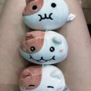 ヒメ日記 2026/02/23 00:03 投稿 反町 人妻楼 木更津店