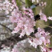 ヒメ日記 2025/04/09 22:01 投稿 ゆあ ラブ＆ナース