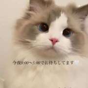 ヒメ日記 2025/02/28 14:25 投稿 ななか ごほうびSPA上野店