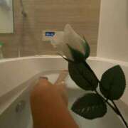 ヒメ日記 2026/02/18 12:50 投稿 らいか 金瓶梅(きんぺいぱい)(雄琴)