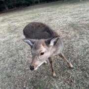 ヒメ日記 2026/01/12 23:48 投稿 うた 金瓶梅(きんぺいぱい)(雄琴)