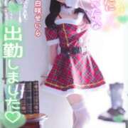 ヒメ日記 2024/12/14 08:02 投稿 白咲せいら セクシーキャット 神田店