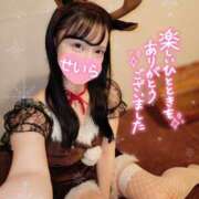 ヒメ日記 2024/12/19 14:10 投稿 白咲せいら セクシーキャット 神田店