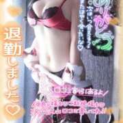 ヒメ日記 2024/12/21 16:15 投稿 白咲せいら セクシーキャット 神田店