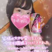 ヒメ日記 2024/12/31 14:15 投稿 白咲せいら セクシーキャット 神田店