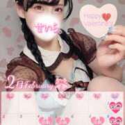 ヒメ日記 2025/01/28 12:02 投稿 白咲せいら セクシーキャット 神田店